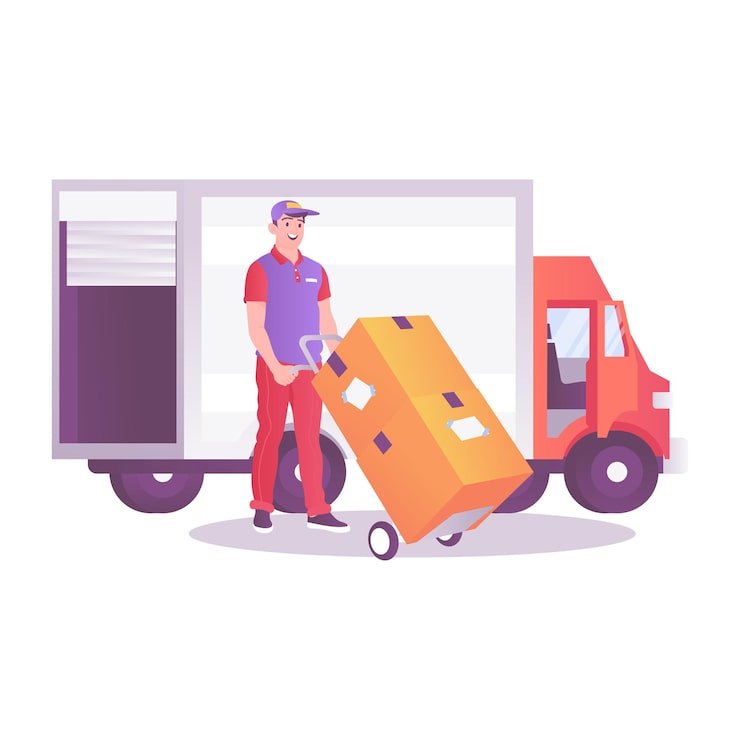 Our Delivery Process Curtain Sider van